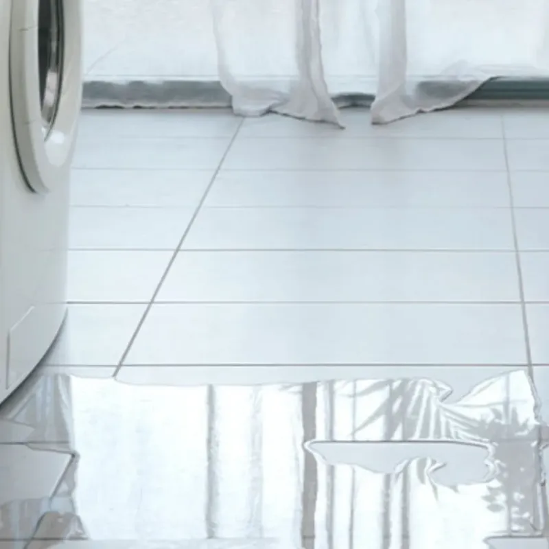 Appliance Leak Cleanup in Ore City, TX