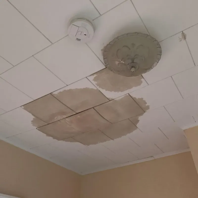 Ceiling Water Damage Repair in Ore City, TX