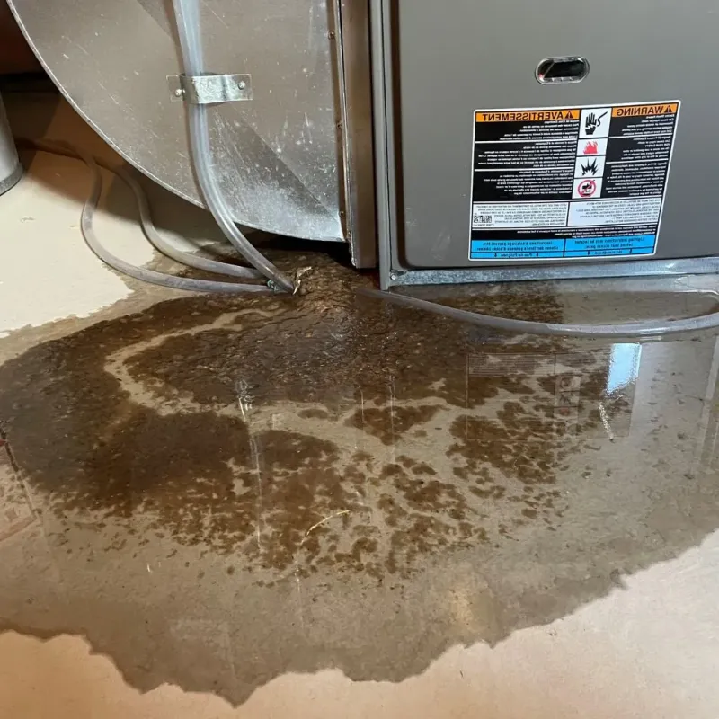 Pipe Burst and Leak Restoration in Ore City, TX