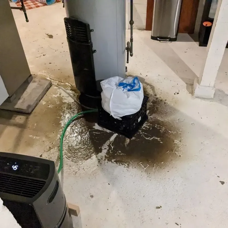 Sewage Backup Cleanup Service in Ore City, TX